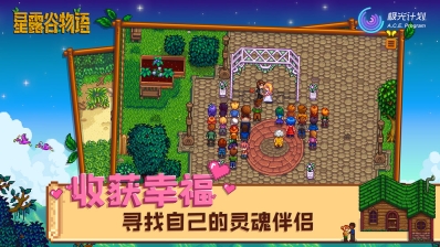 星露谷物语汉化游戏官方版(2)