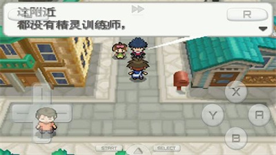 口袋妖怪白2金手指版图2