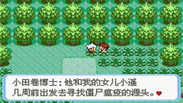 口袋妖怪蛇纹木汉化版(3)