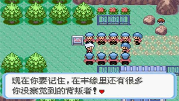 口袋妖怪蛇纹木汉化版(4)