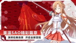 刀剑神域黑衣剑士王牌游戏纯净最新版(3)