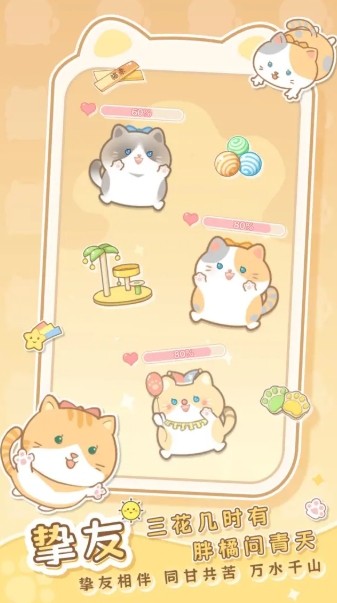 是猫就活100岁无广告版图1