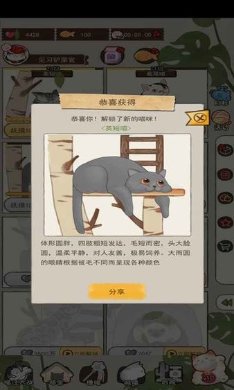 喵大人物语安卓版图2