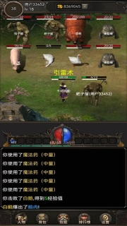 开局布衣木剑免费版图3