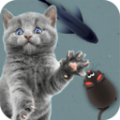 猫狗玩具模拟器最新版 V1.1.3