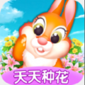 天天种花直装游戏版