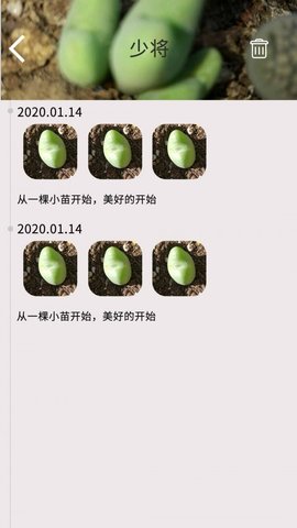 多肉花草日记直装版图3