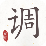 琵琶调音器正版