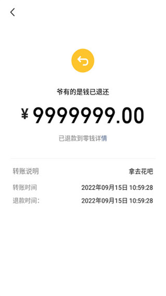 正点点正版图1