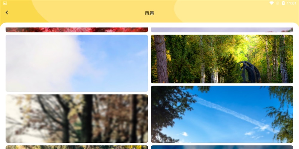 炫彩主题壁纸手机正版(2)