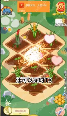 丰收大麦田天降红包手机正版(2)
