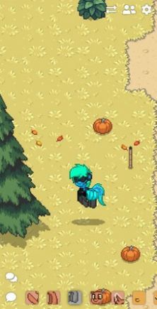 ponytown游戏正版(3)