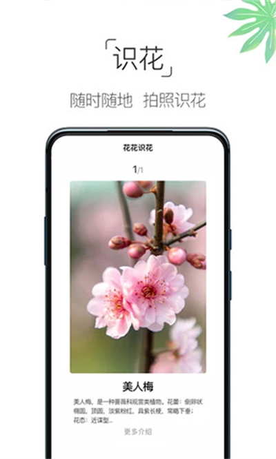 养花大全最新版(2)