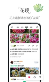养花大全最新版(4)