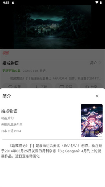十里视频原版图3