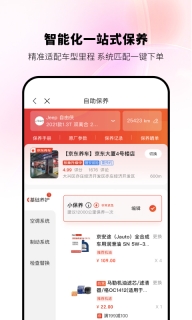 京东京车会正版图2