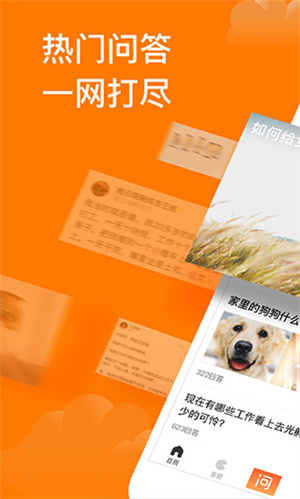 悟空问答最新版图4: