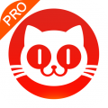 猫眼专业版-实时票房